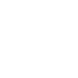 Topi